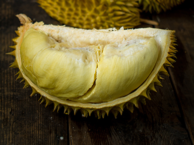 九游在线体育平台基地展示二