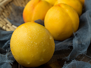 九游在线体育平台基地展示五